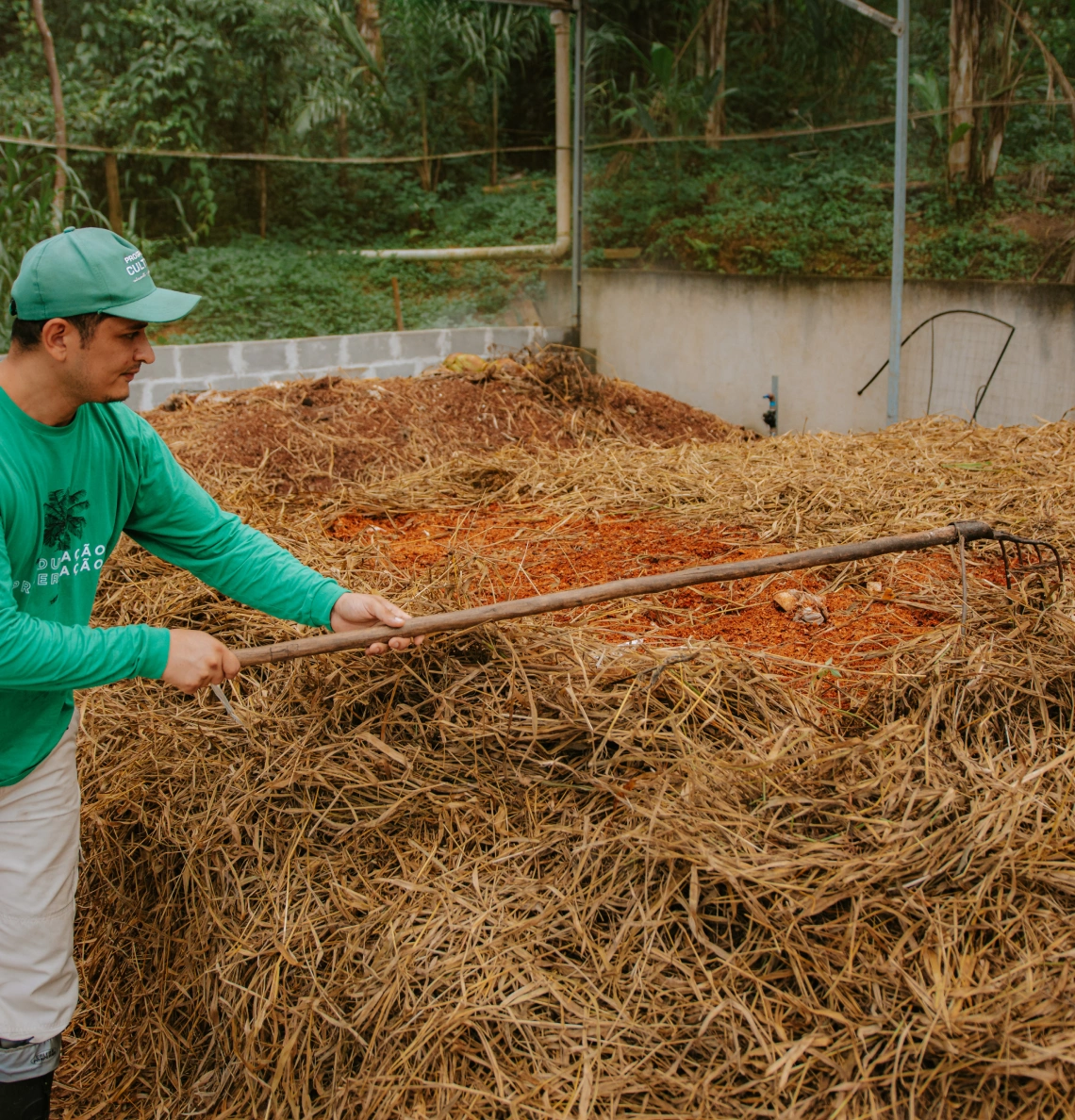 Composting and Nutrient Cycle 