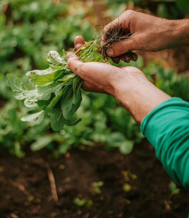 Curadoria & Produtores locais&nbsp;