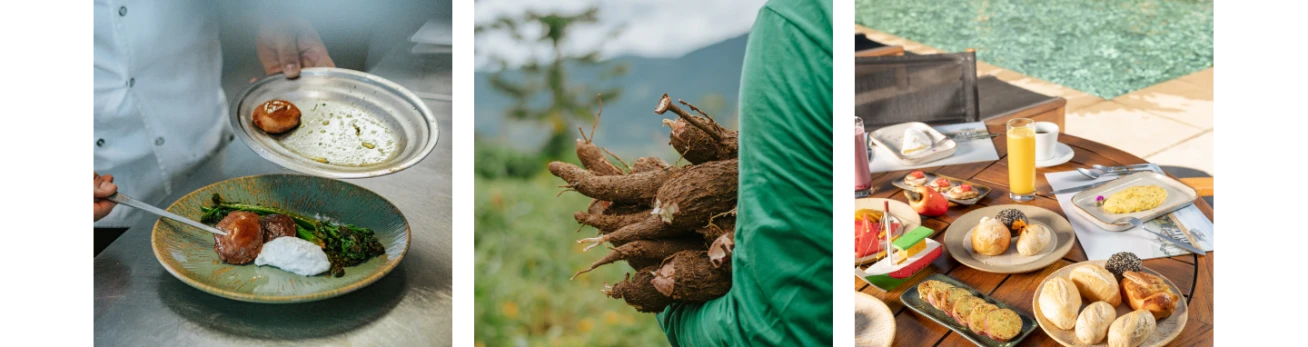 Gastronomia: do campo para a mesa