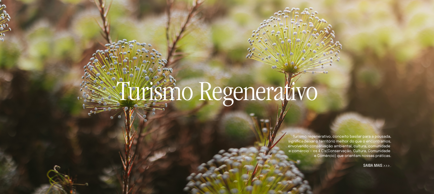 Turismo regenerativo